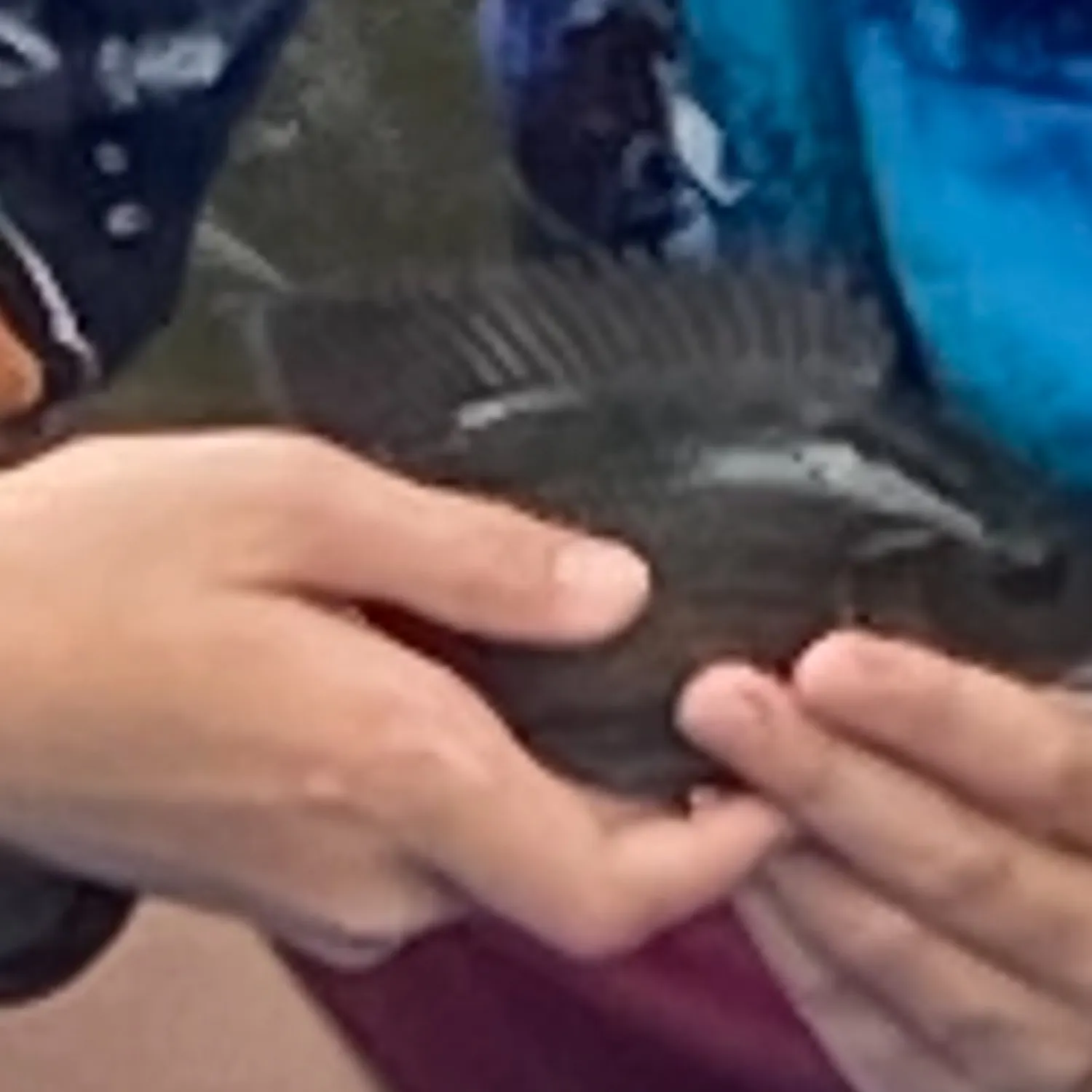 most liked catch image