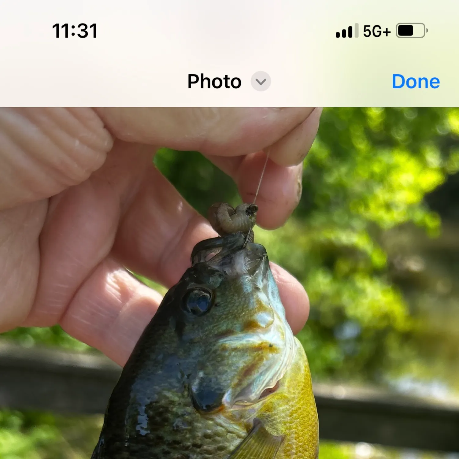 catch