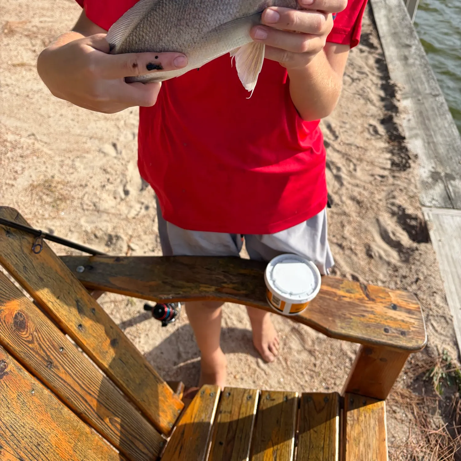 Freshwater drum caught on Fishbrain
