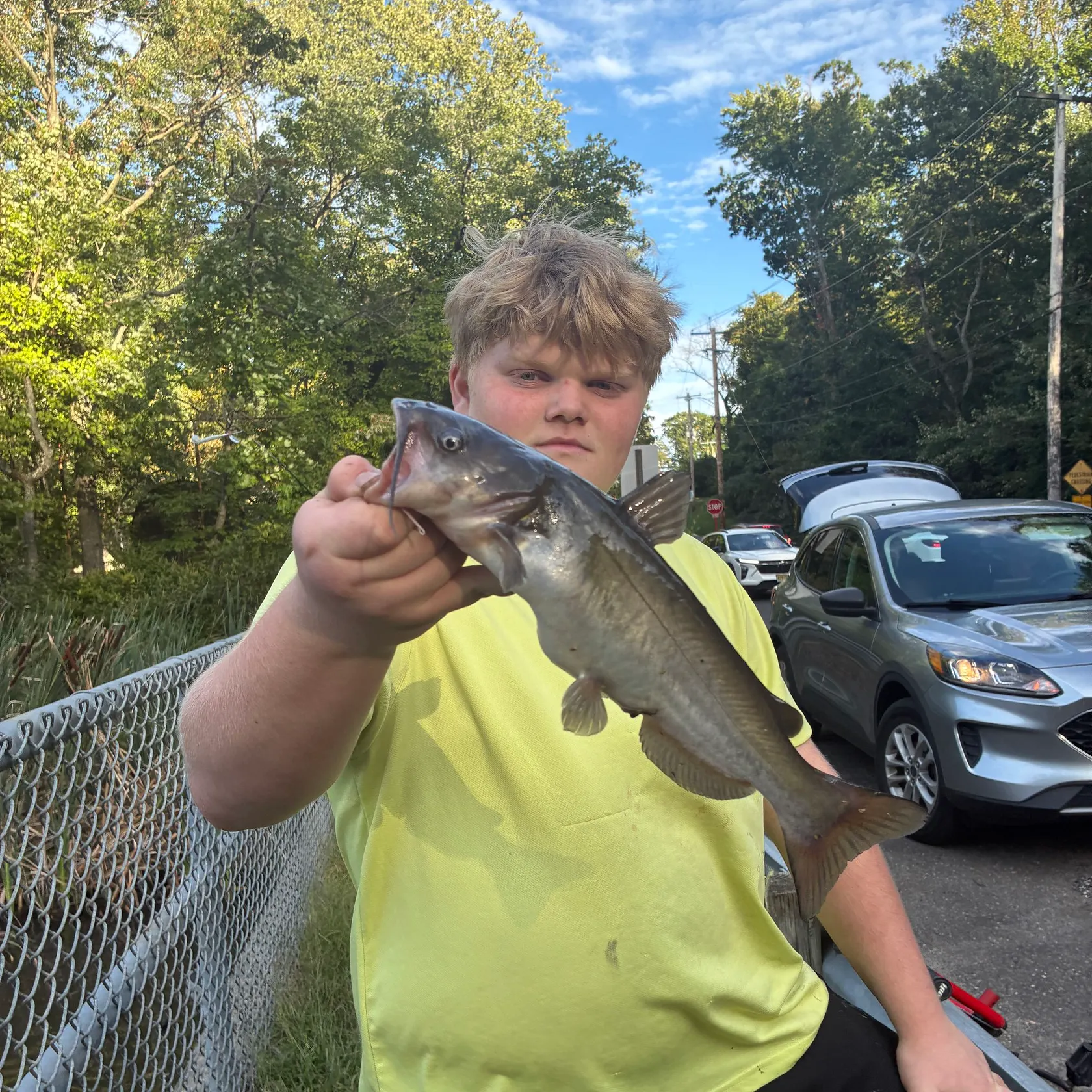 Black bullhead caught on Fishbrain