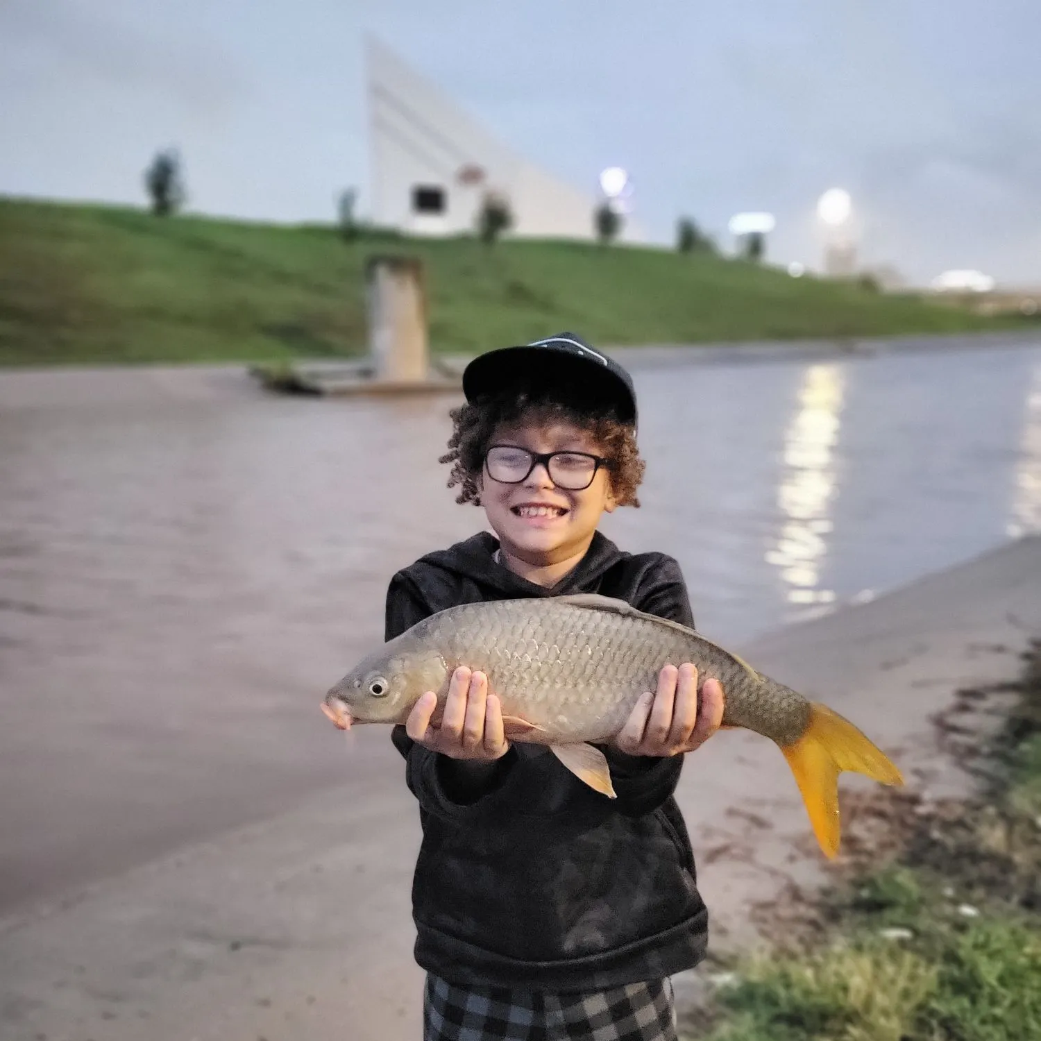Common carp caught on Fishbrain
