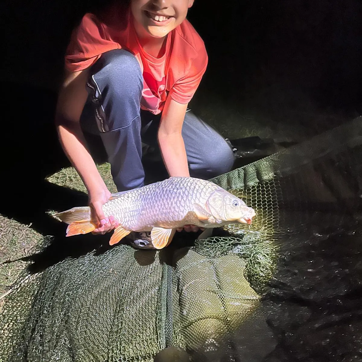 Common carp caught on Fishbrain