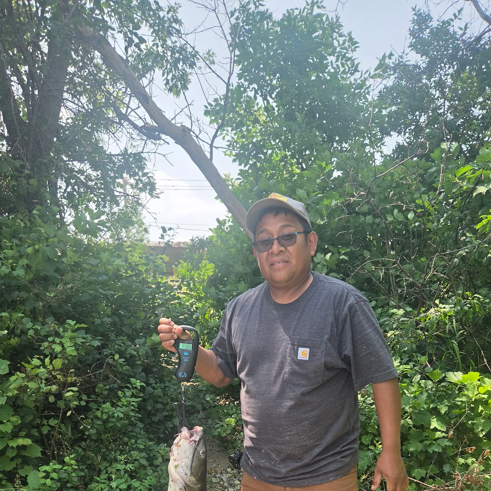 recently logged catches