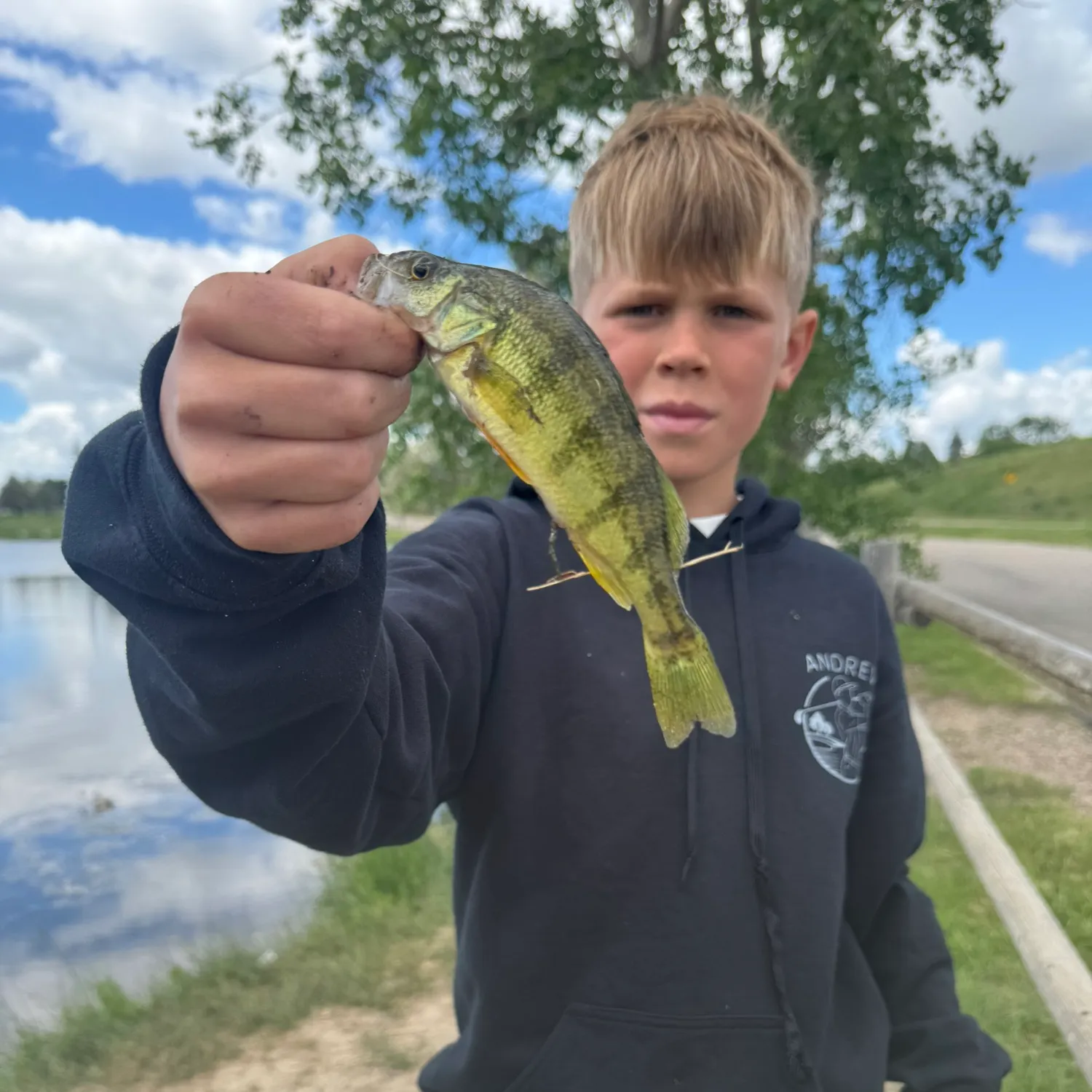 The most recent Yellow perch catches on Fishbrain