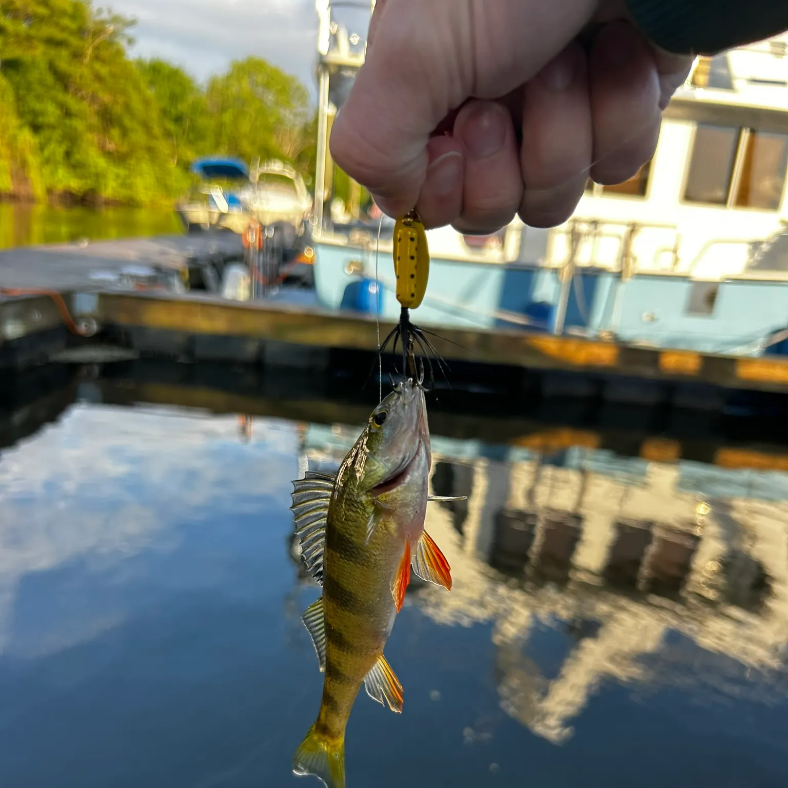catch