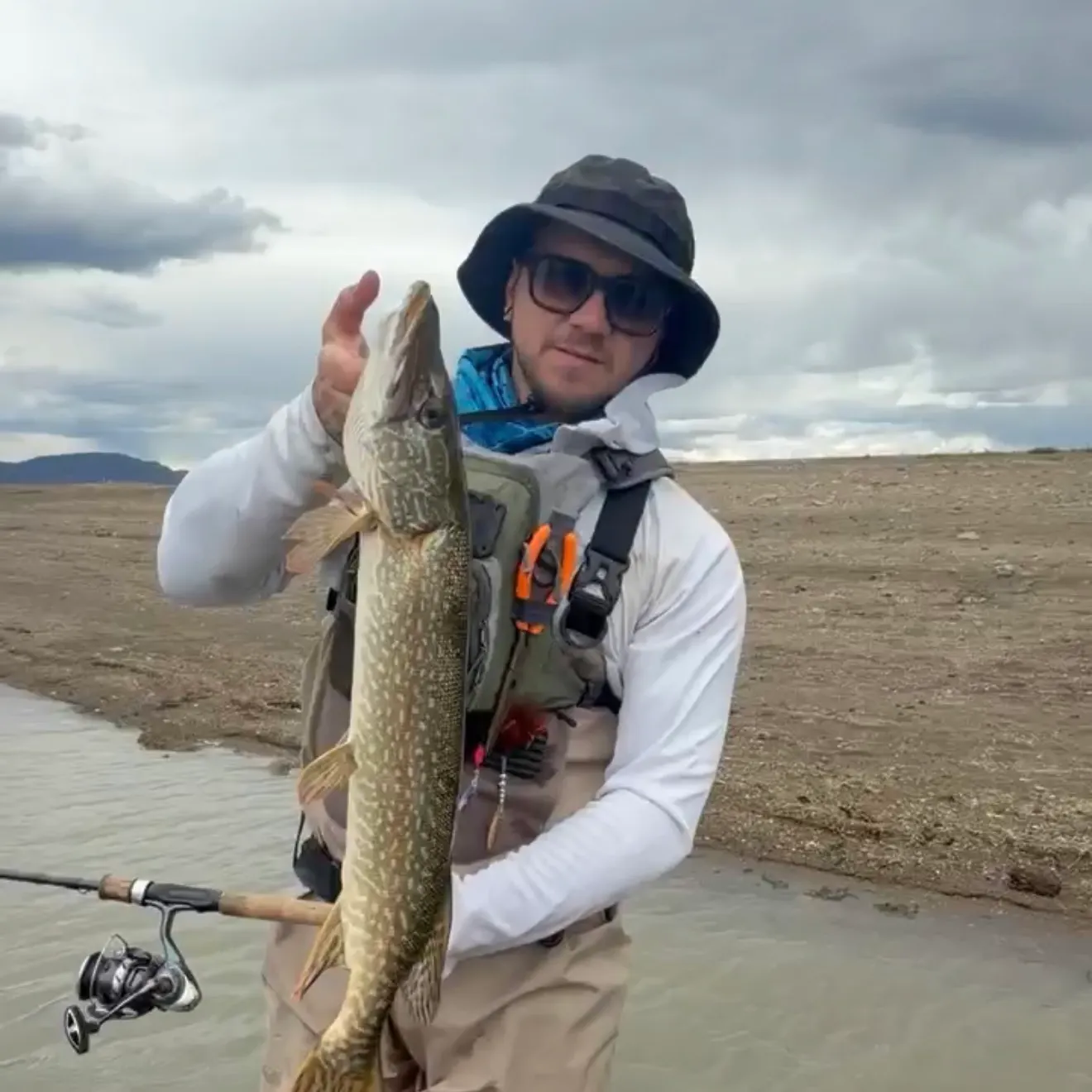 Northern pike caught on Fishbrain