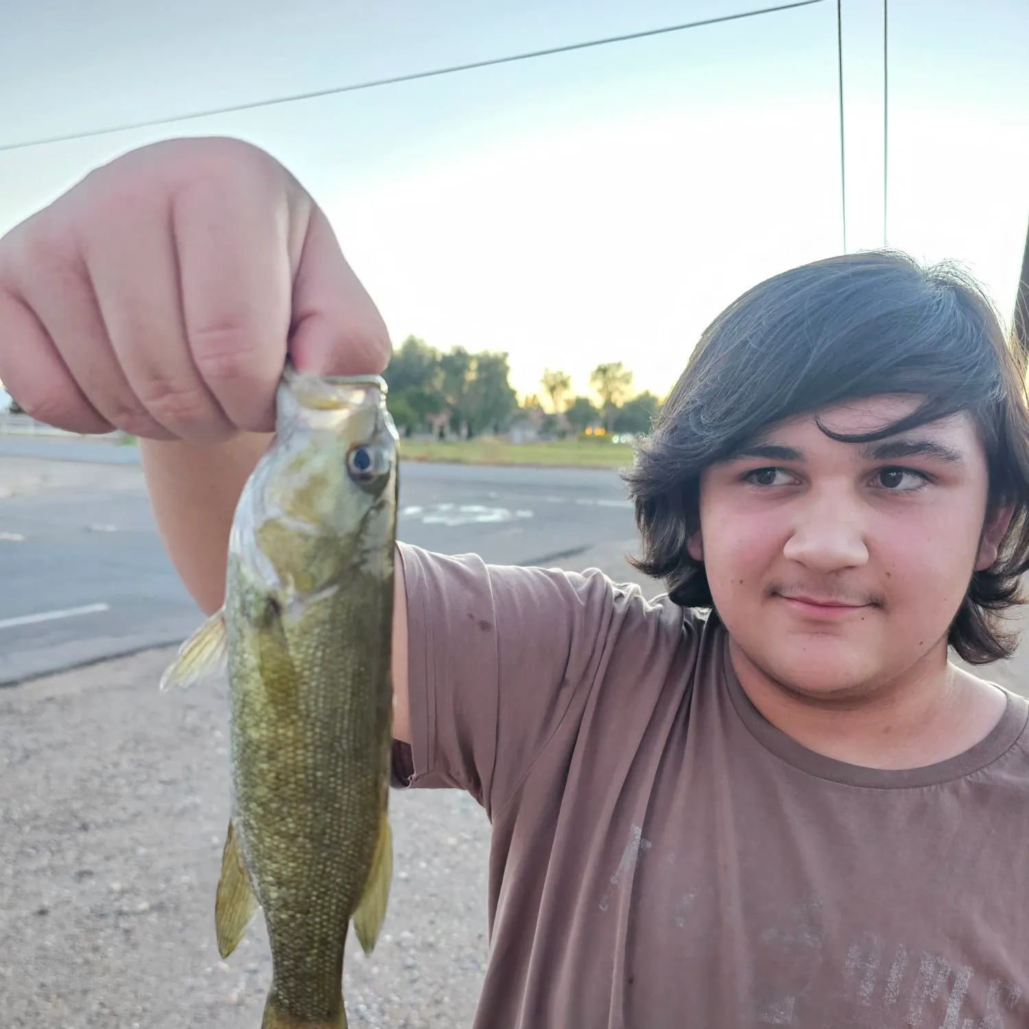 Smallmouth bass caught on Fishbrain