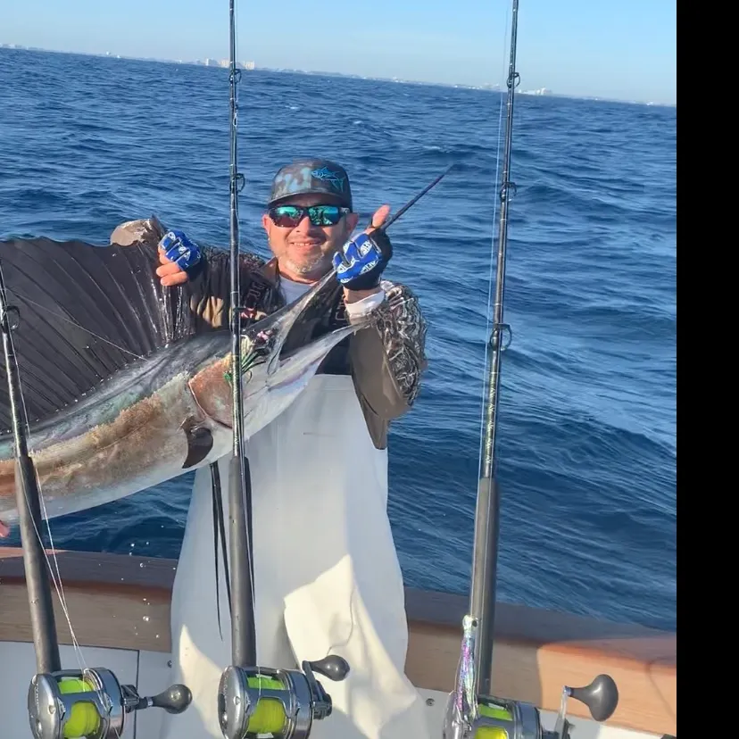 most liked catch image