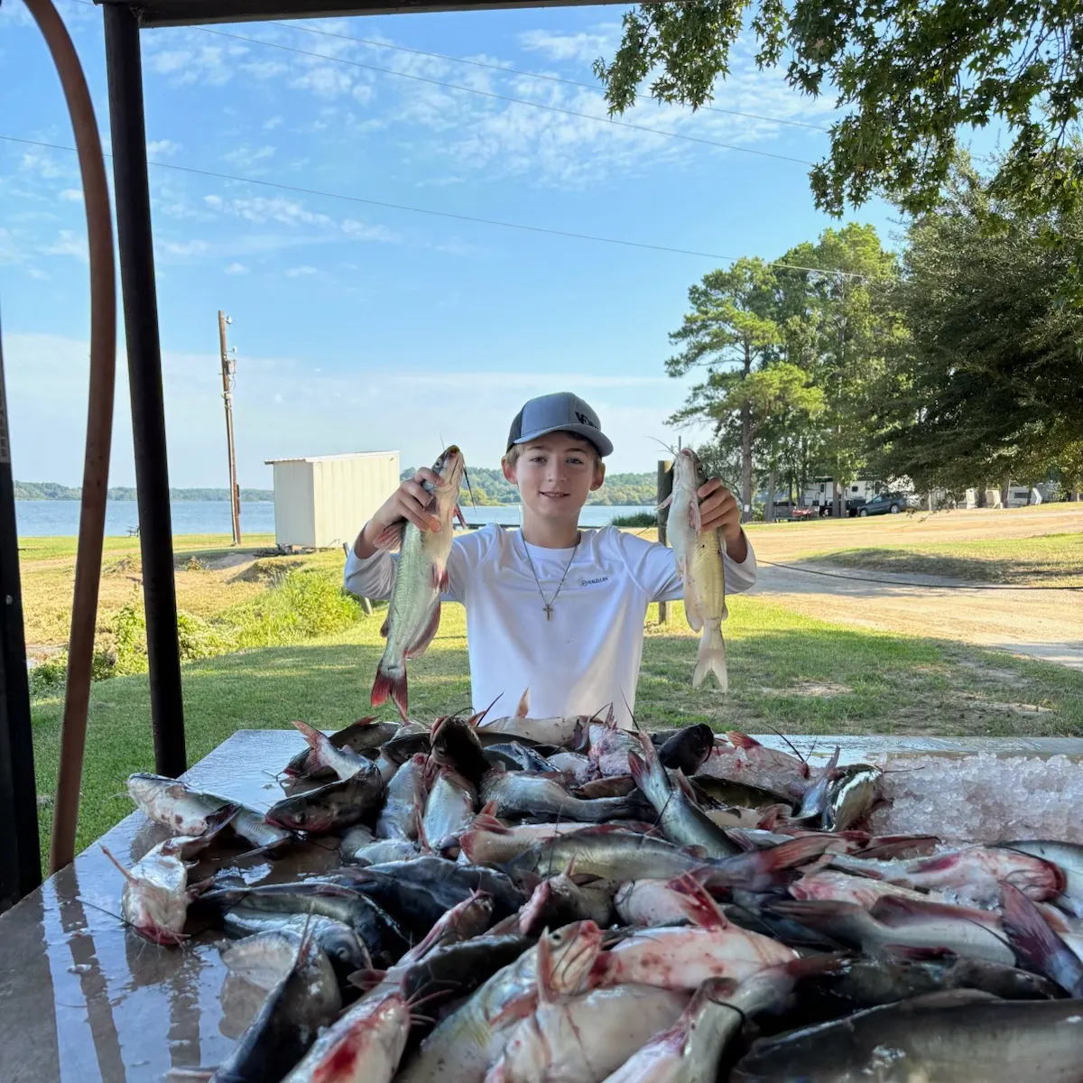 Channel catfish caught on Fishbrain