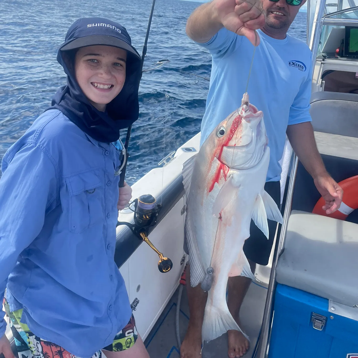 The most recent Striped seabream catches on Fishbrain