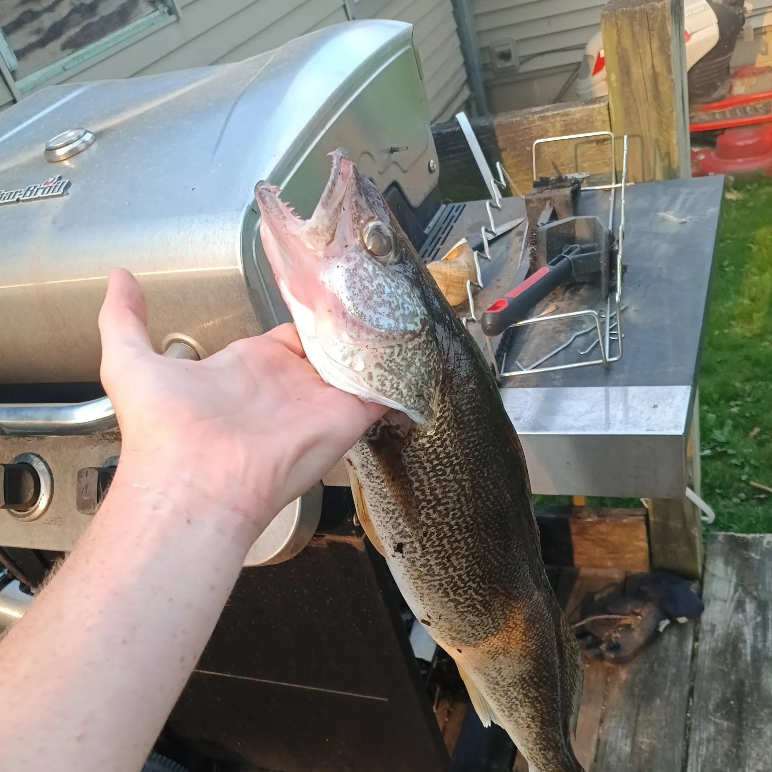 catch