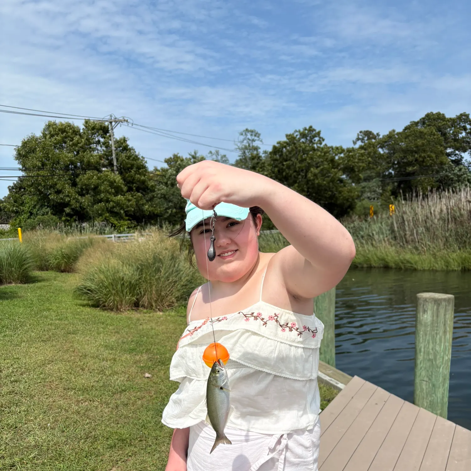 Bluefish caught on Fishbrain