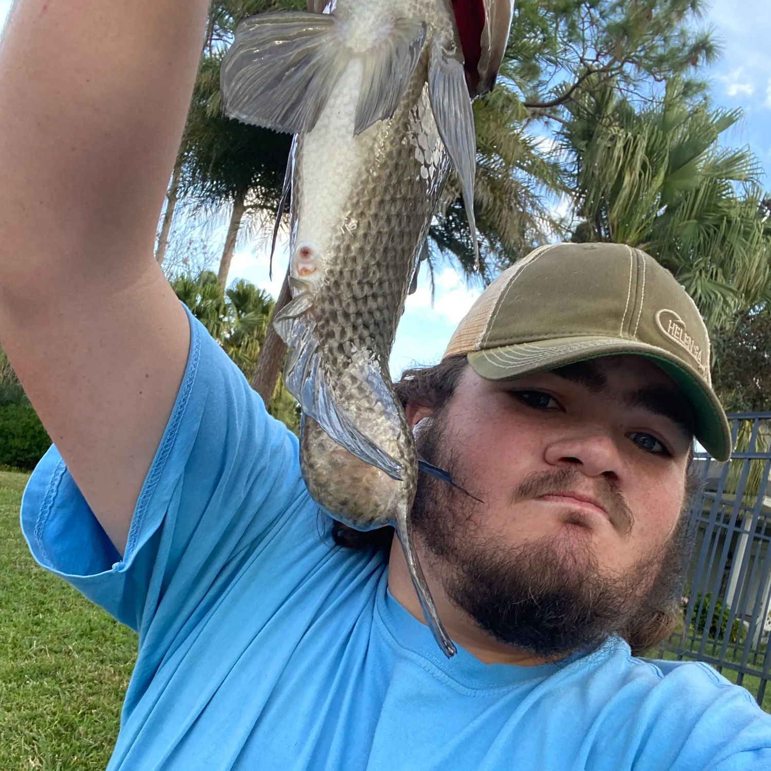 The most recent Nile tilapia catches on Fishbrain