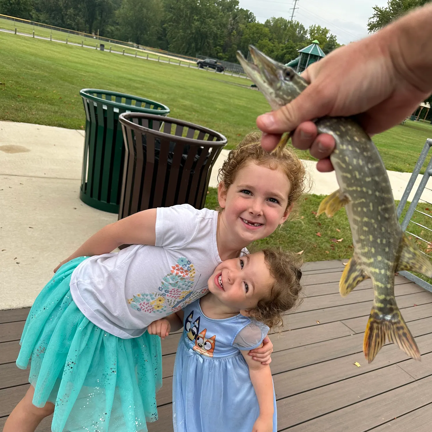 Northern pike caught on Fishbrain