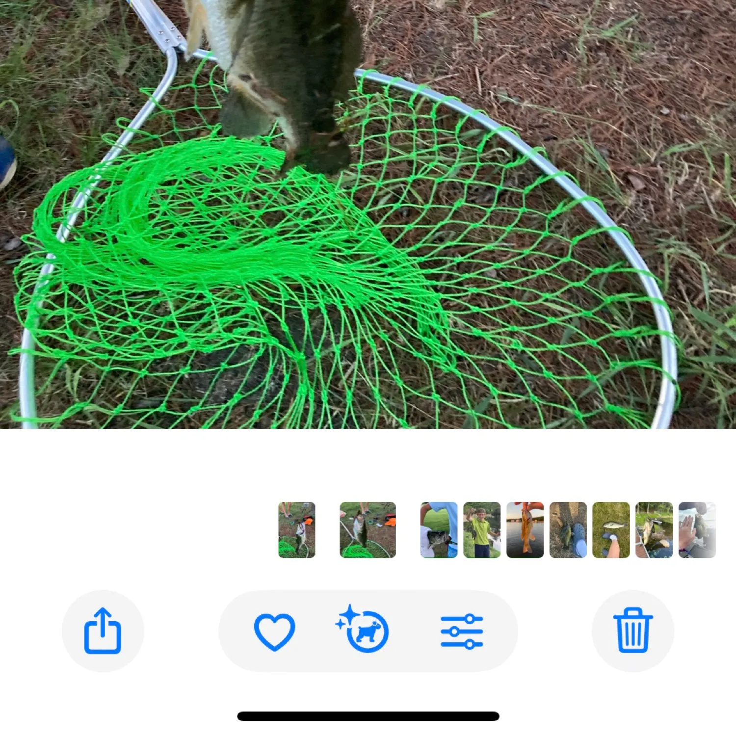 catch