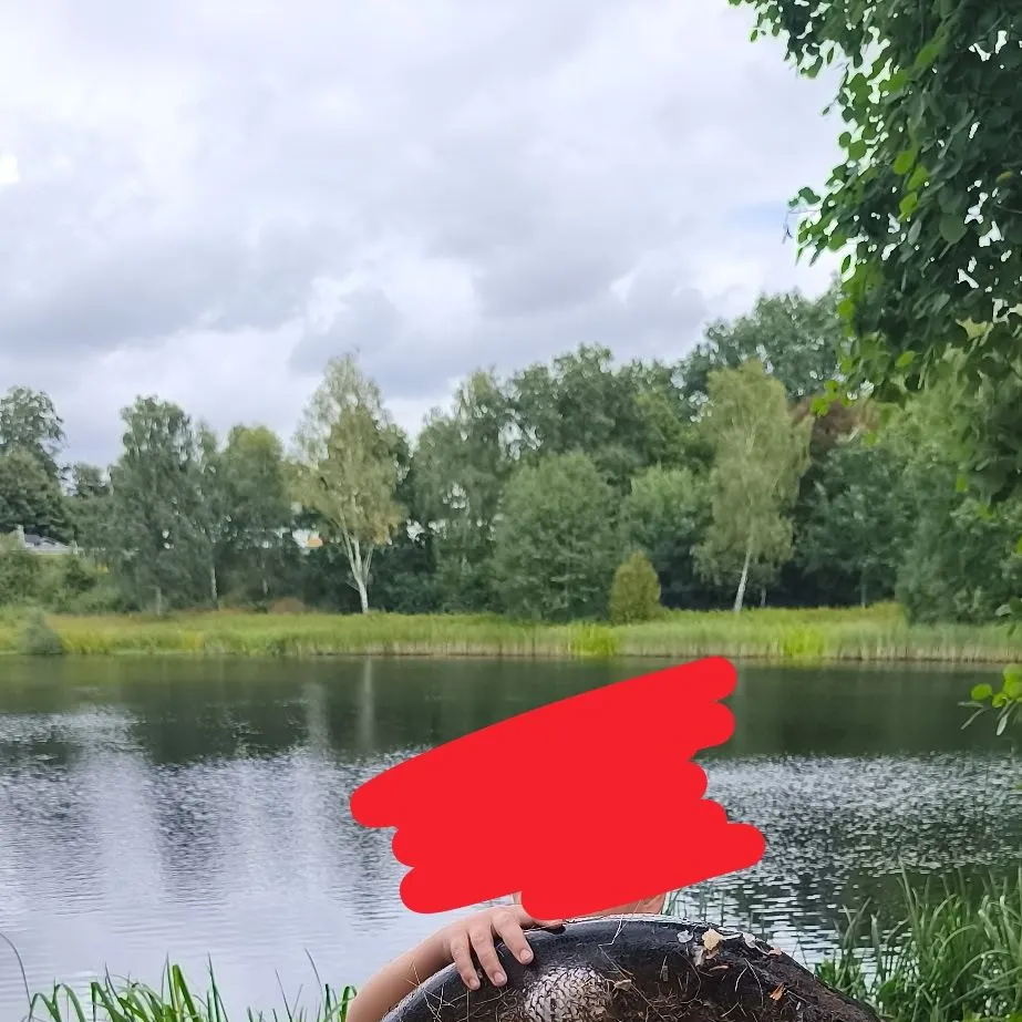 Northern pike caught on Fishbrain