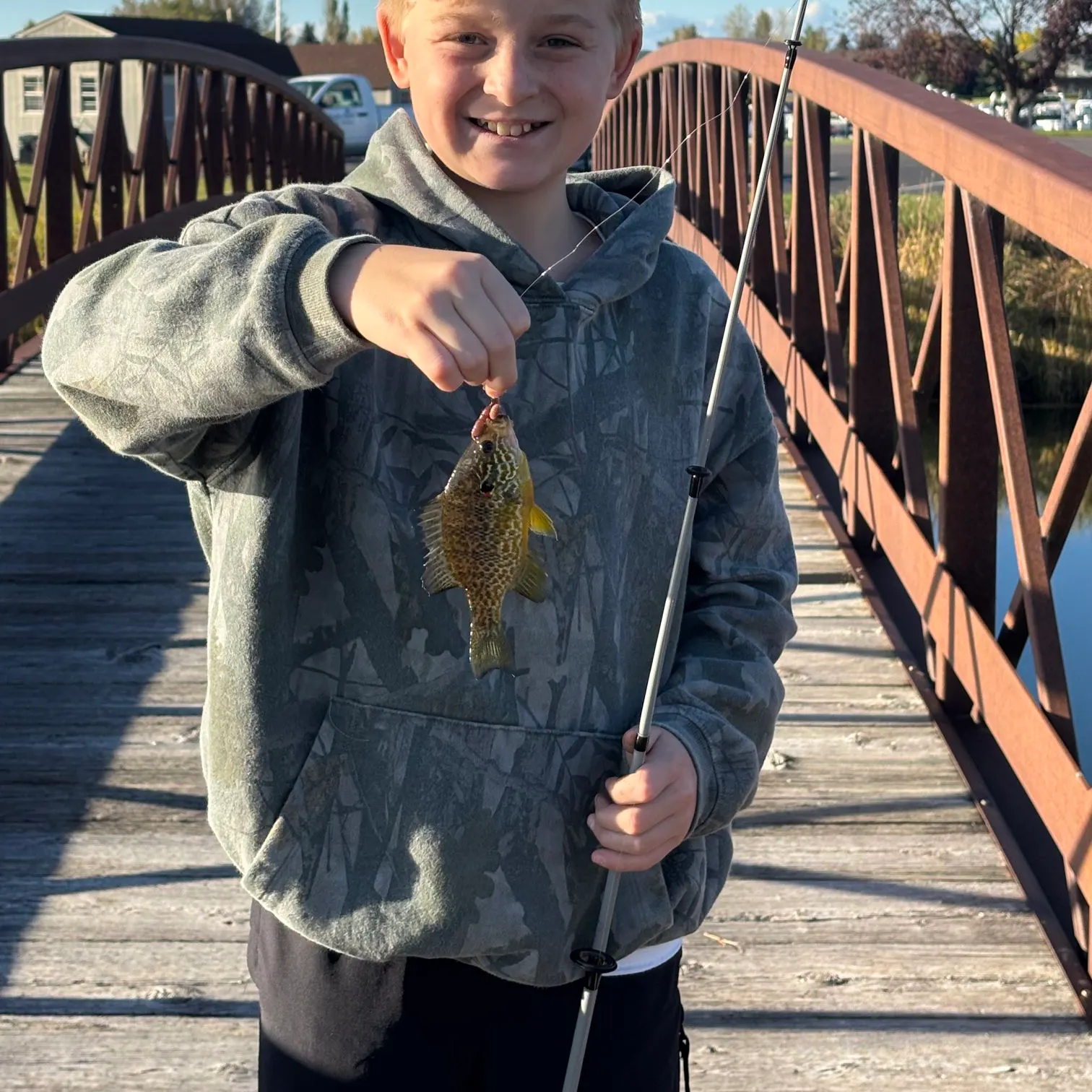 Pumpkinseed caught on Fishbrain