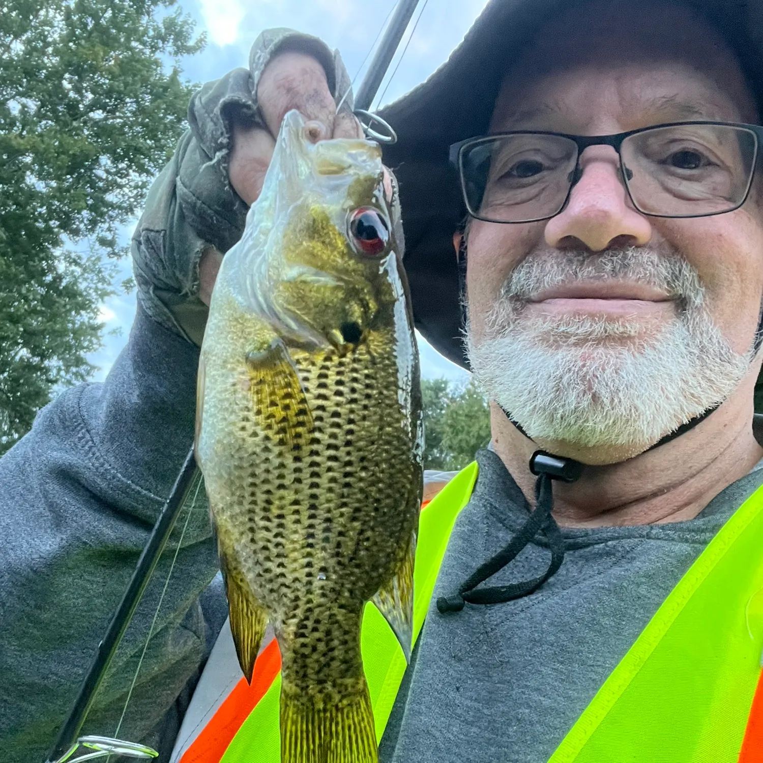 Rock bass caught on Fishbrain