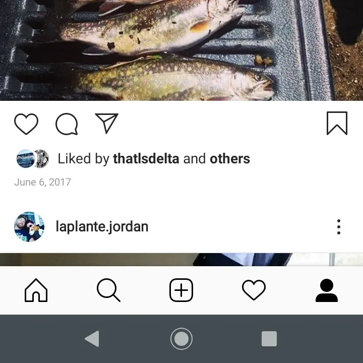 recently logged catches
