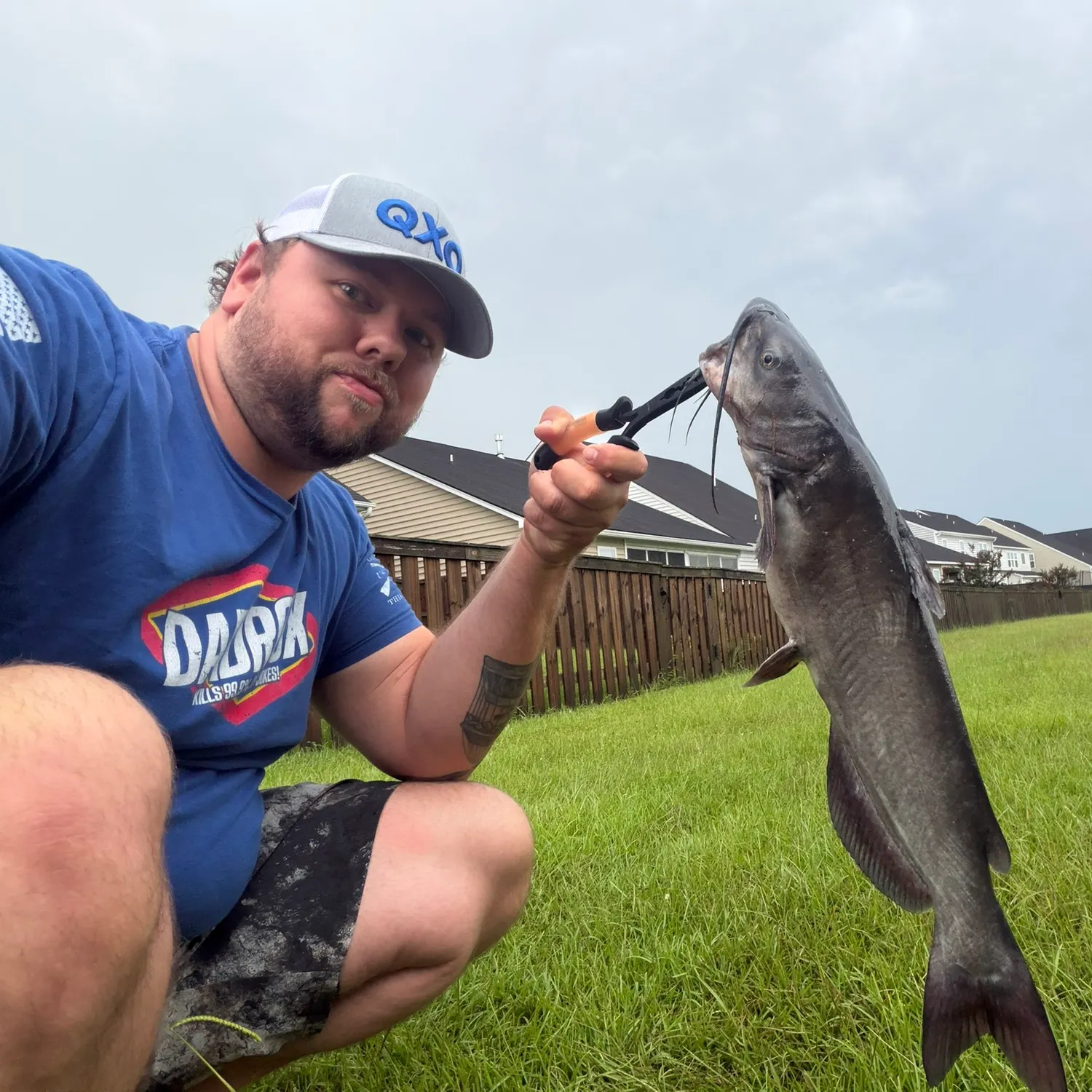 Channel catfish caught on Fishbrain