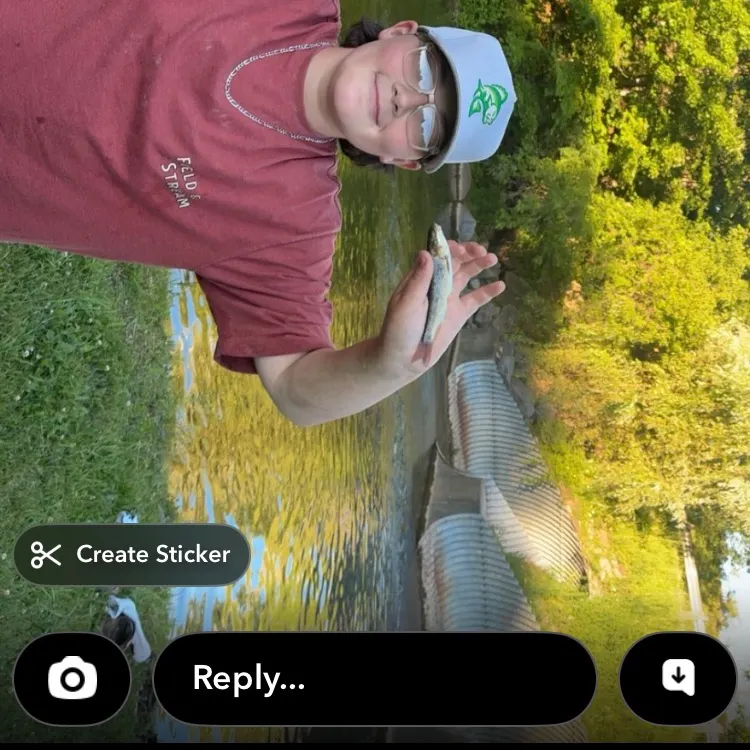 European chub caught on Fishbrain