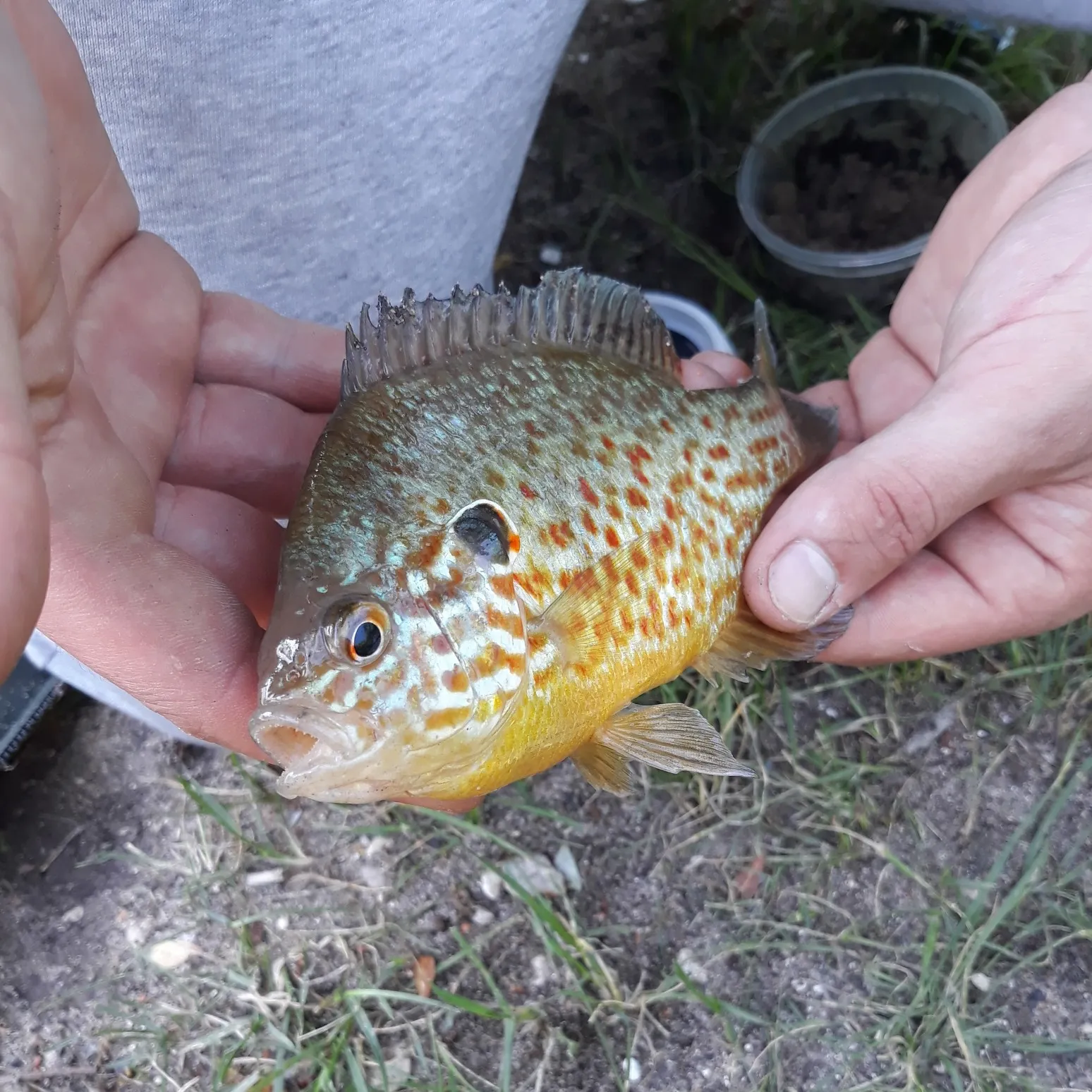 catch