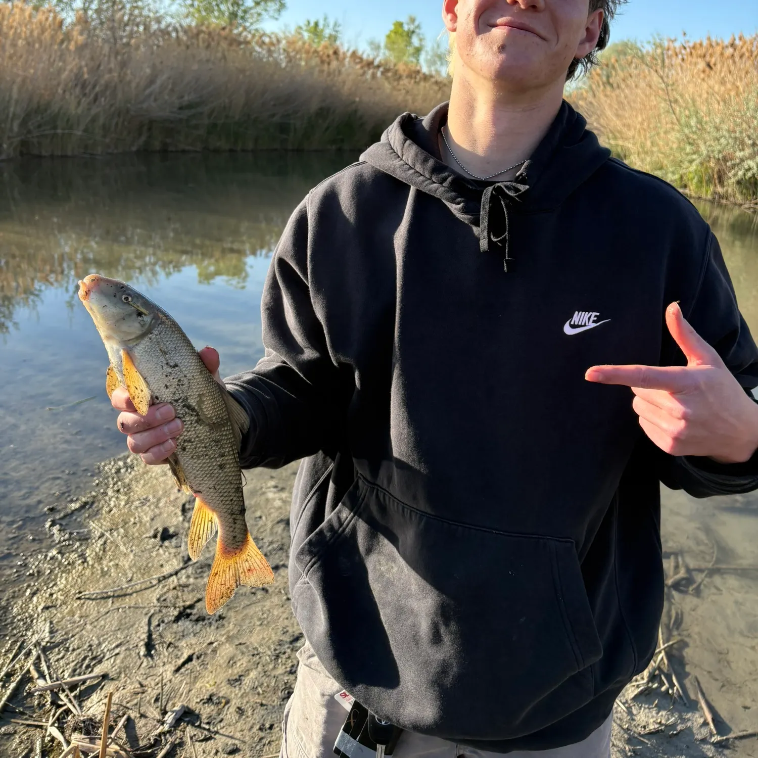 The most recent Sacramento sucker catches on Fishbrain