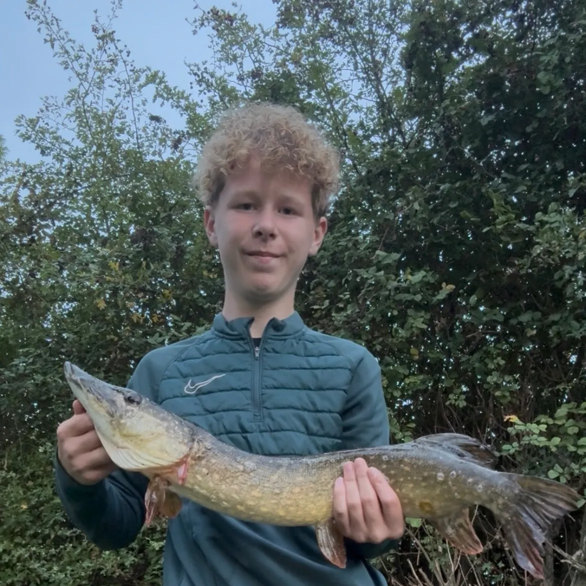Northern pike caught on Fishbrain