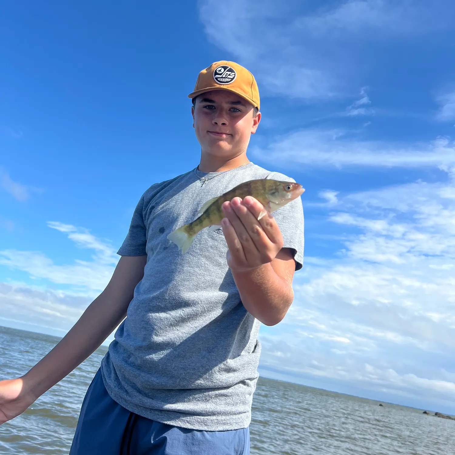 Yellow perch caught on Fishbrain