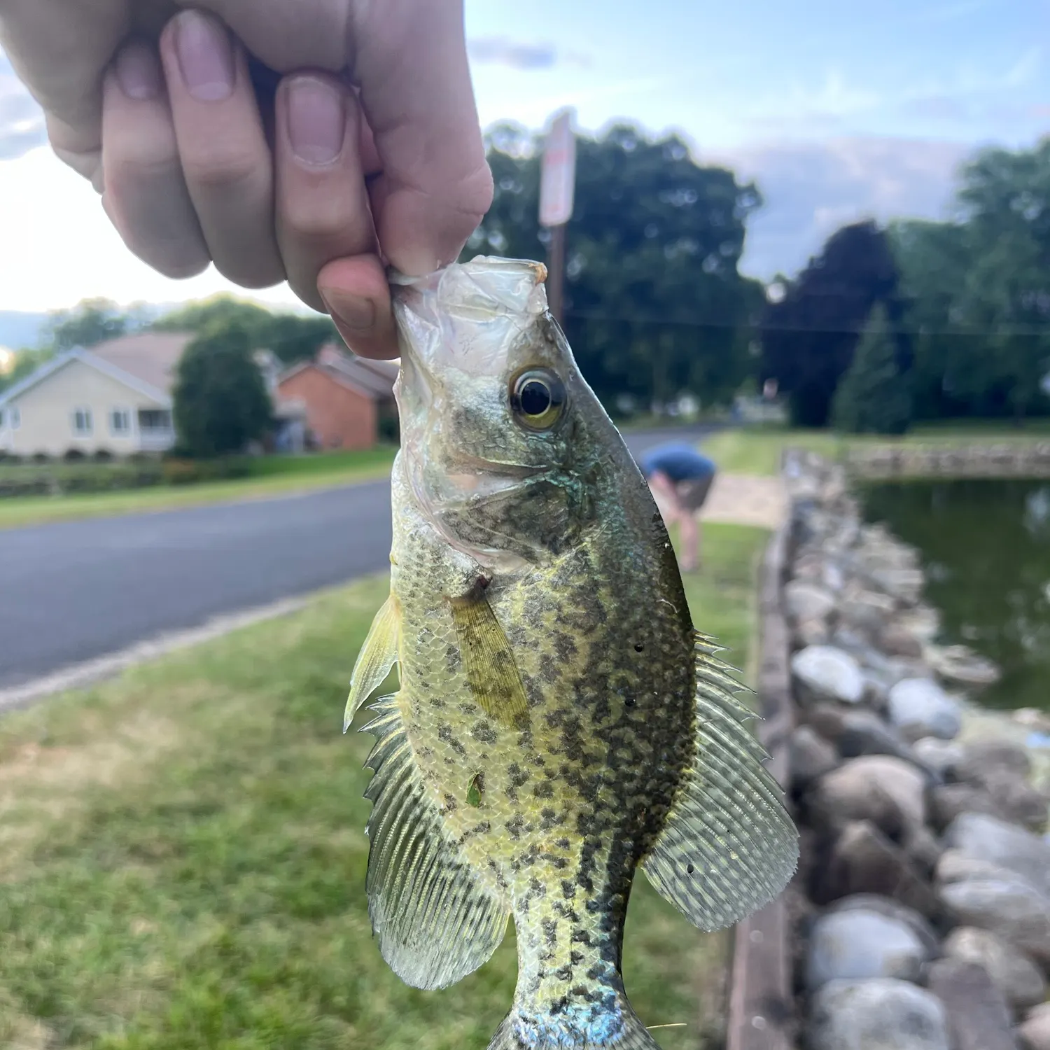 catch