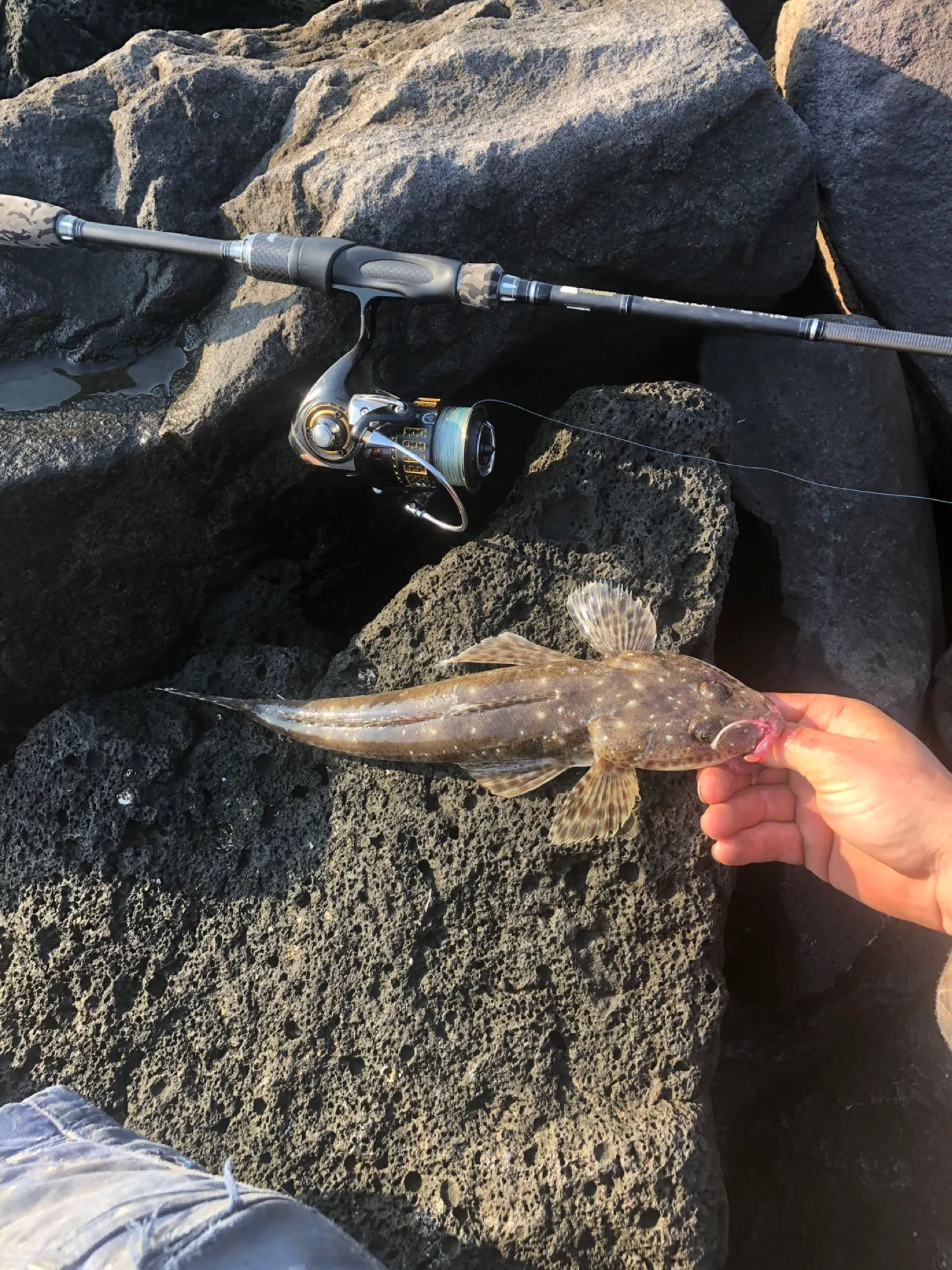 Post image from hunterfisherhugh