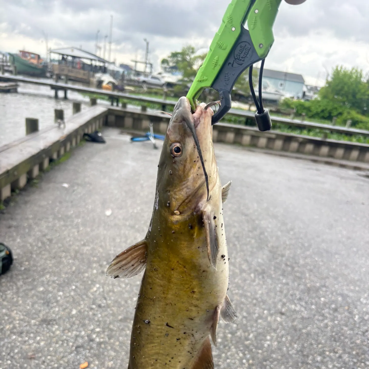catch