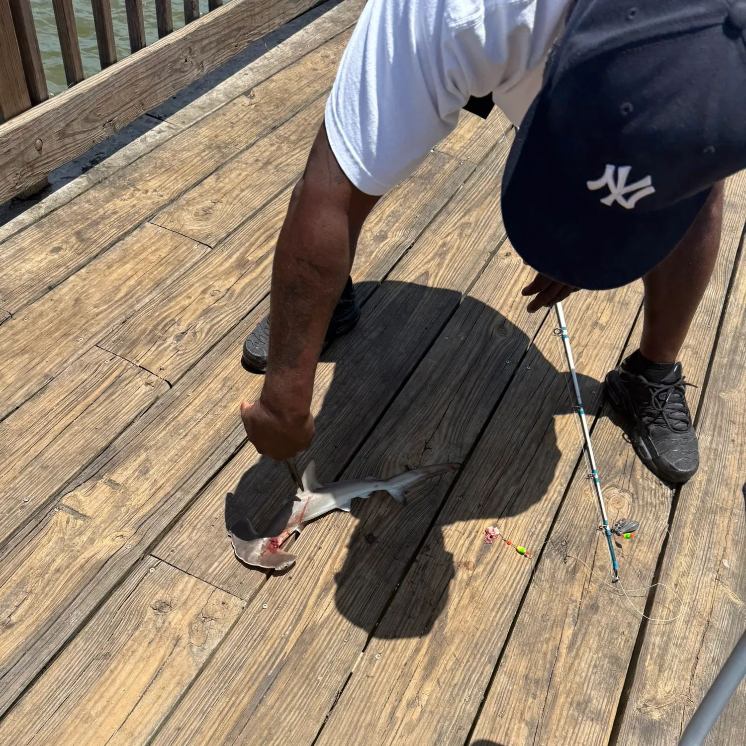most liked catch image