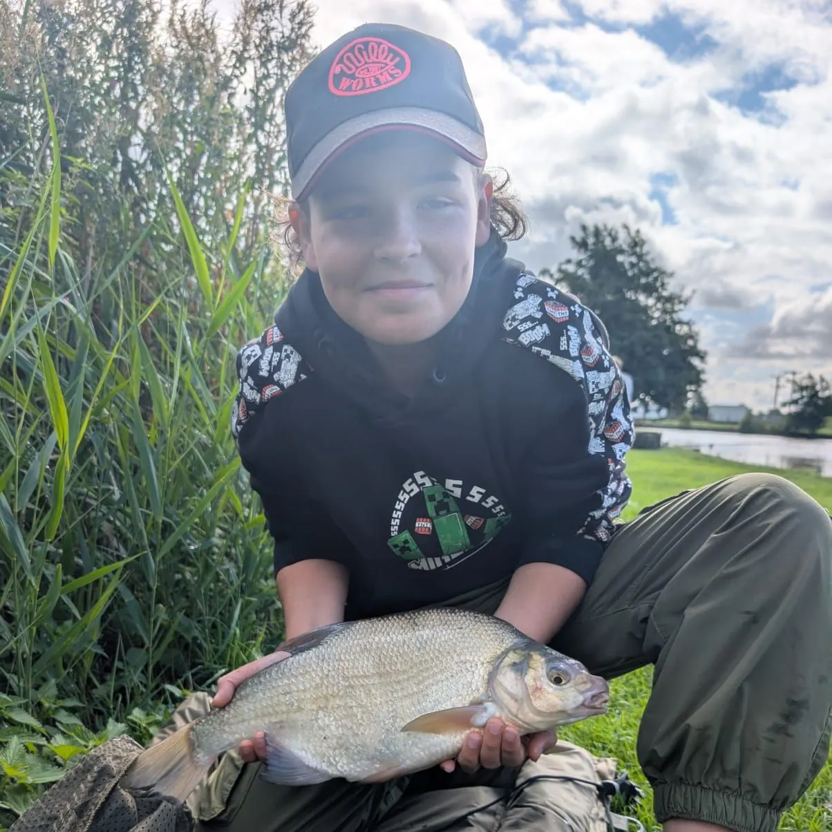 Common bream caught on Fishbrain