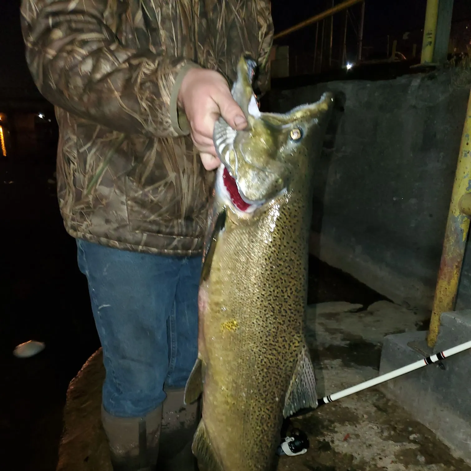 angler catch