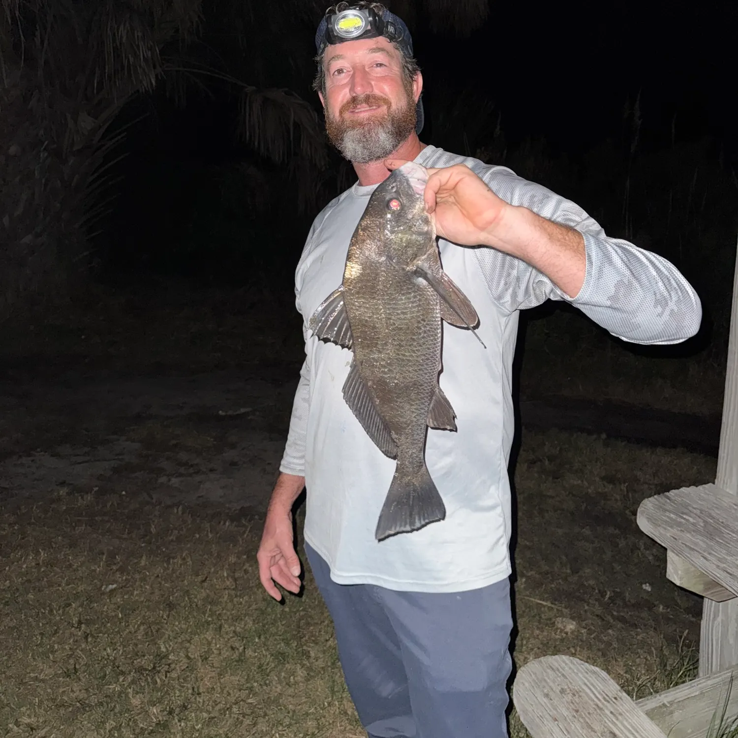 The most recent Black drum catches on Fishbrain