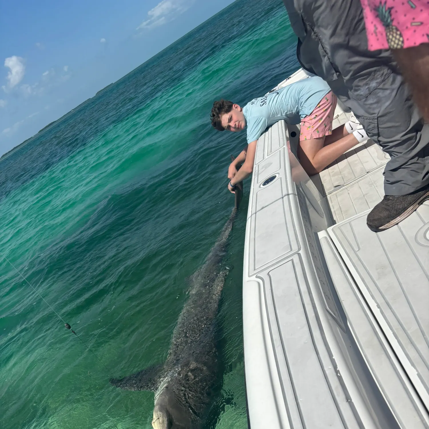 most liked catch image