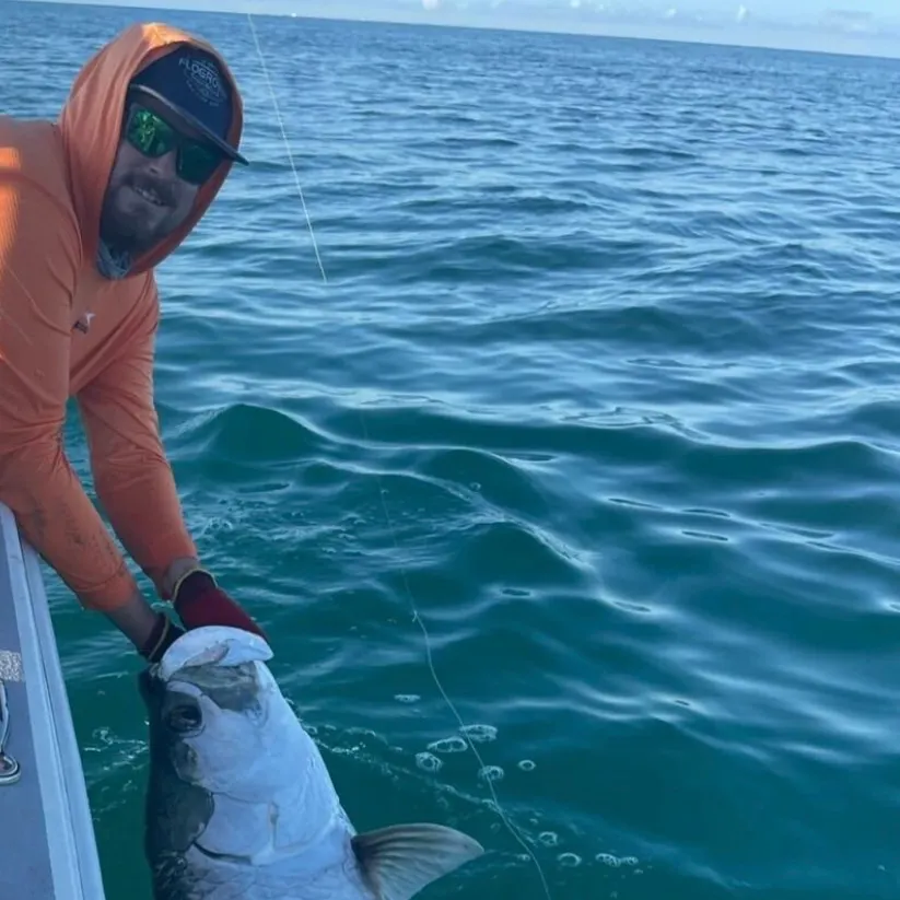The most recent Tarpon catches on Fishbrain