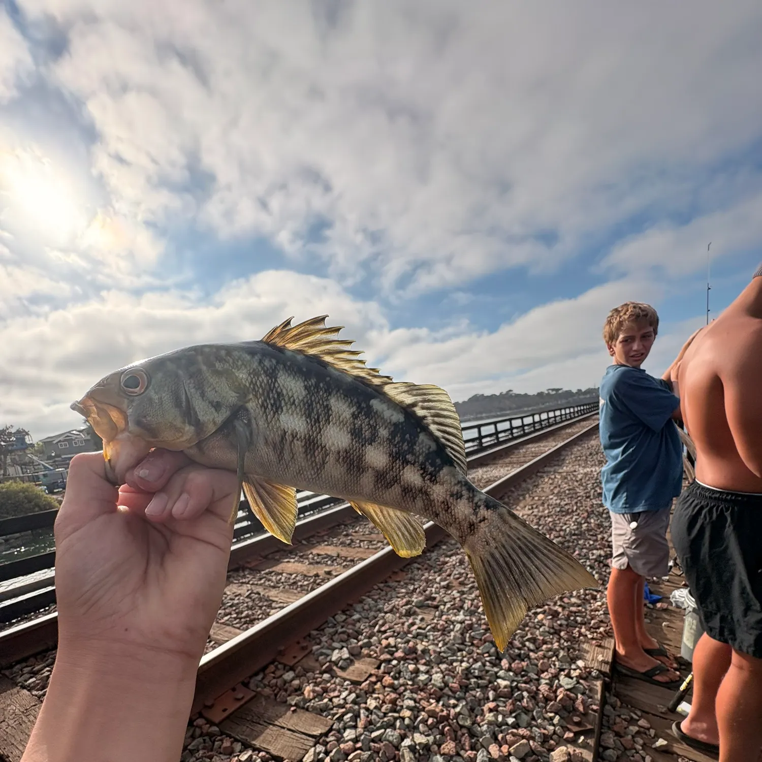 catch