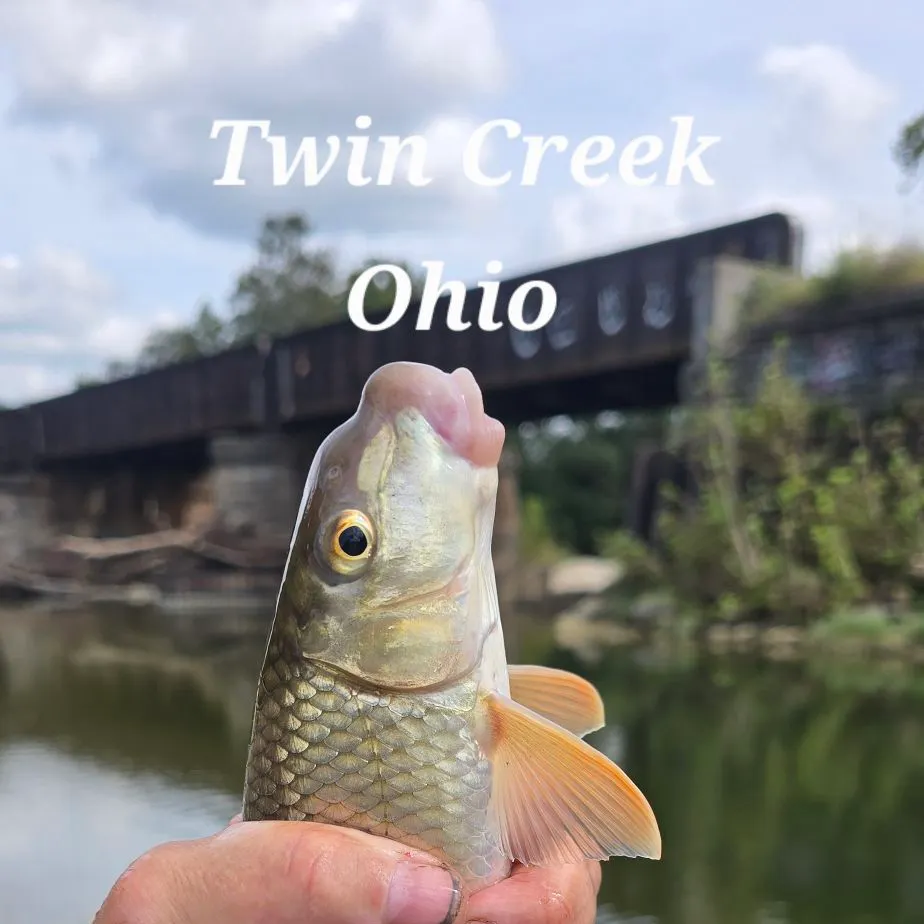 Golden redhorse caught on Fishbrain