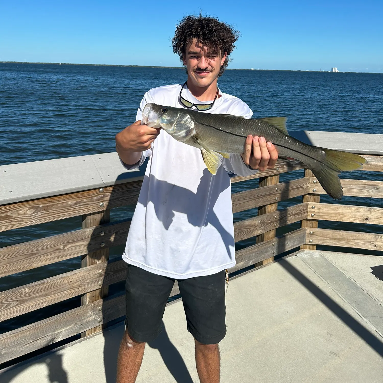 Common snook caught on Fishbrain
