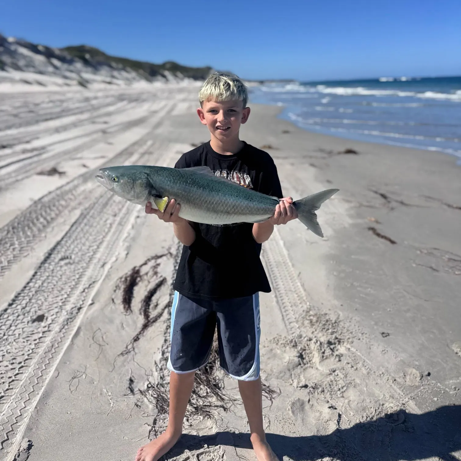 Western Australian salmon caught on Fishbrain