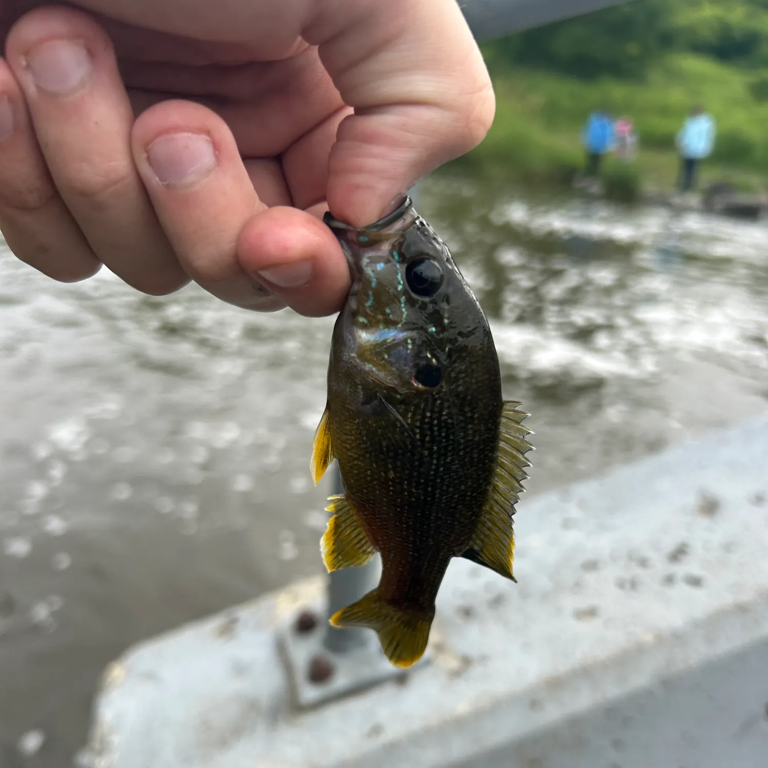 catch