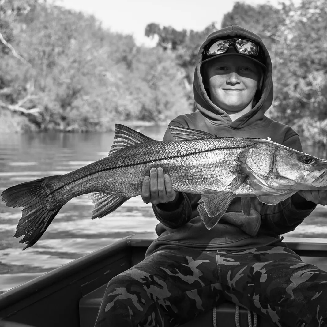 The most recent Common snook catches on Fishbrain