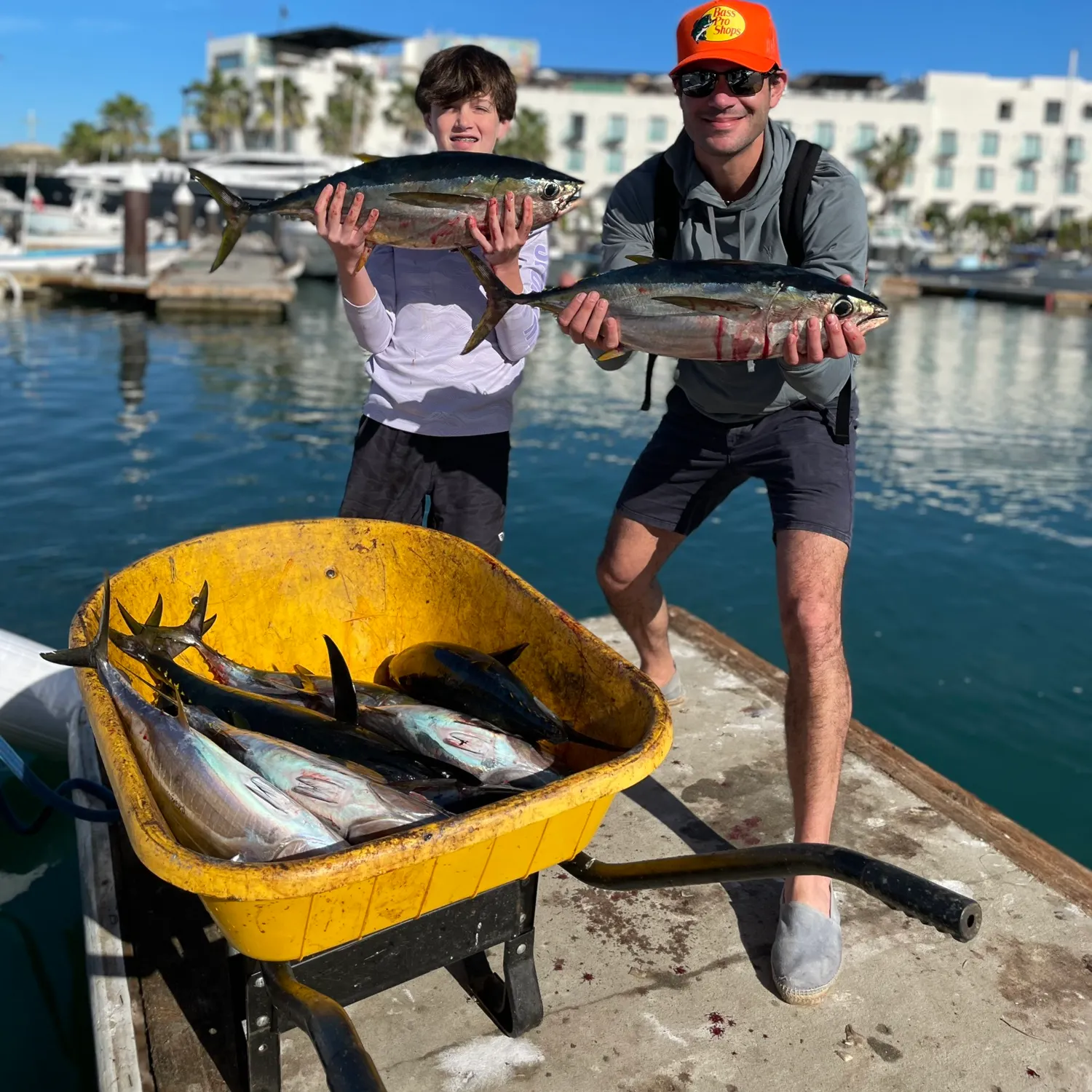 The most recent Yellowfin tuna catches on Fishbrain