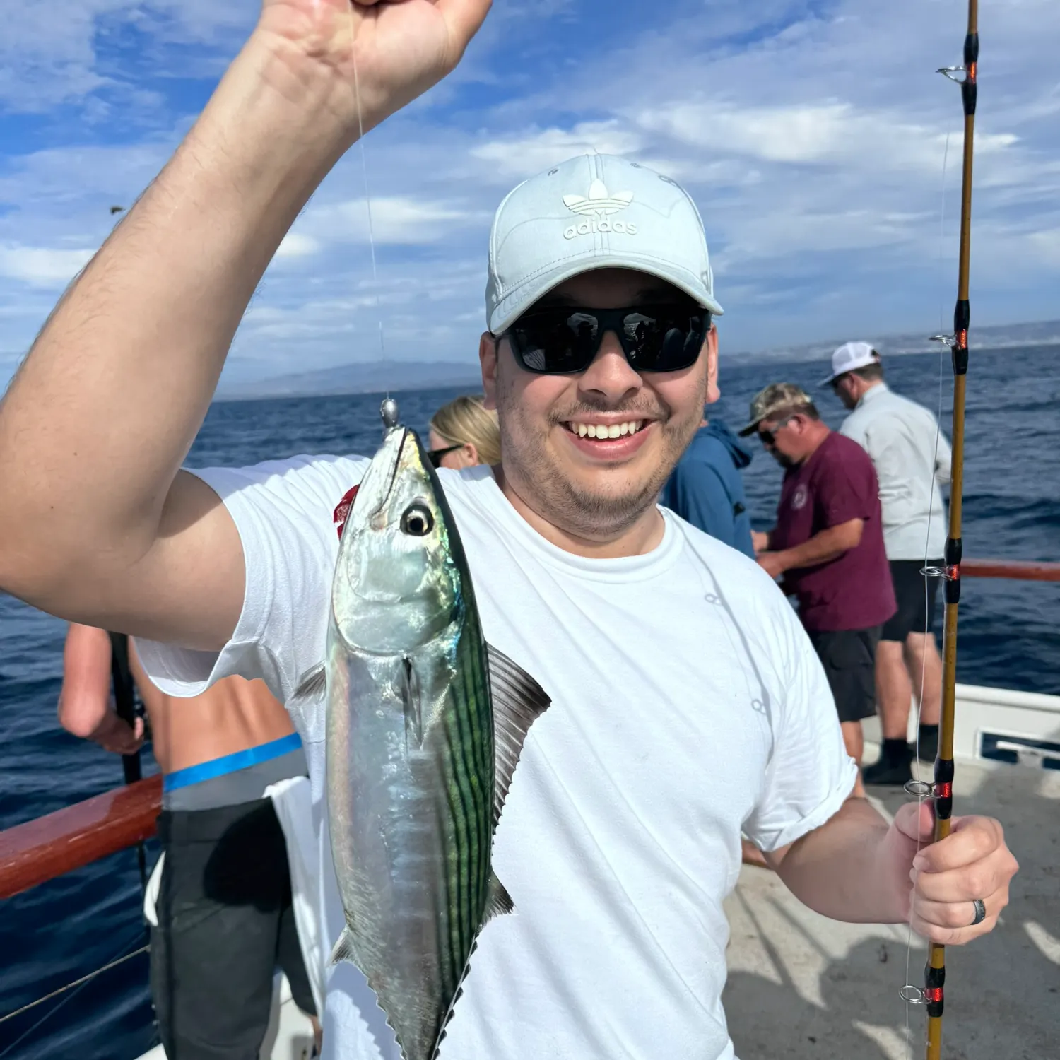 Pacific bonito caught on Fishbrain