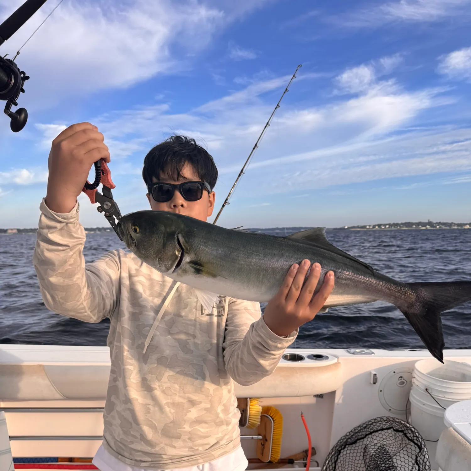 Bluefish caught on Fishbrain