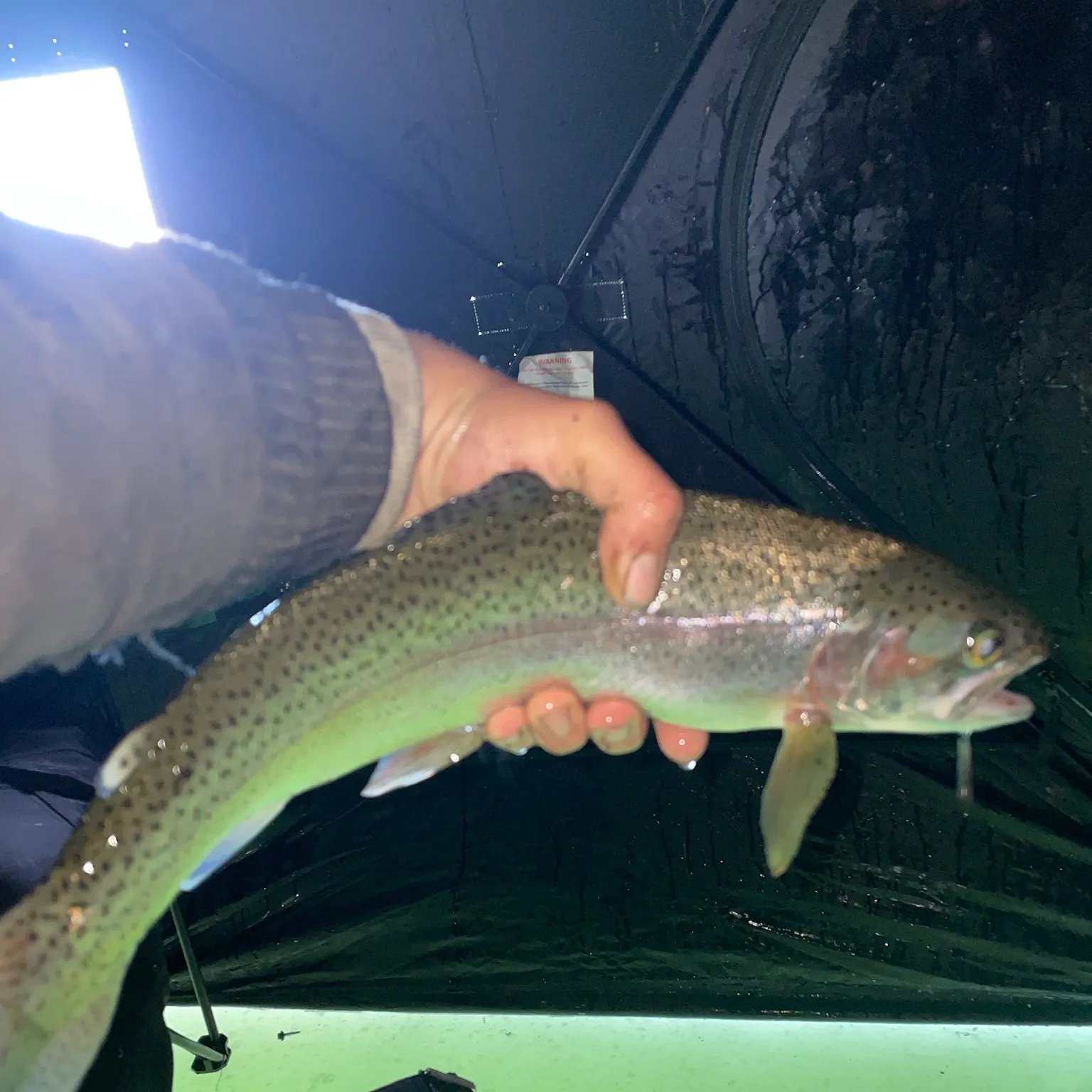 The most recent Bear Lake cutthroat trout catches on Fishbrain