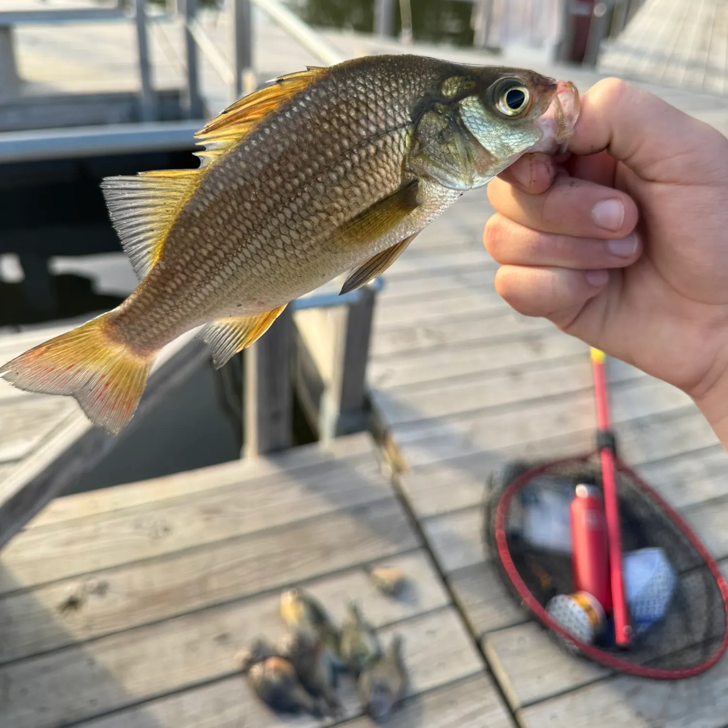 catch