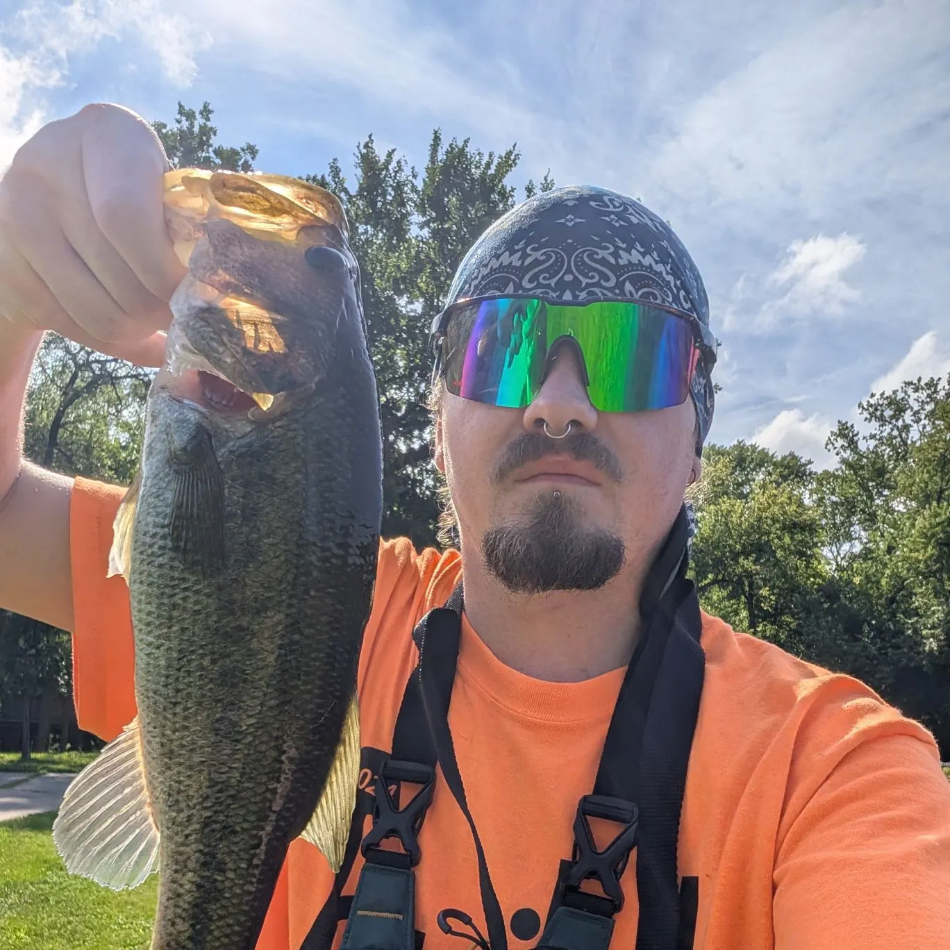 Largemouth bass caught on Fishbrain
